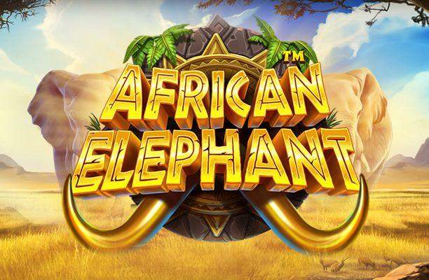 African Elephant — Pragmatic Play